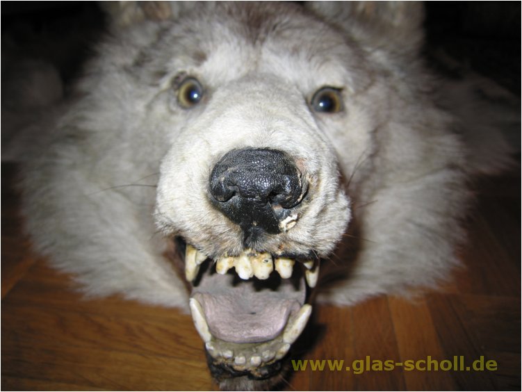 (c) 2006 www.Glas-Scholl.de